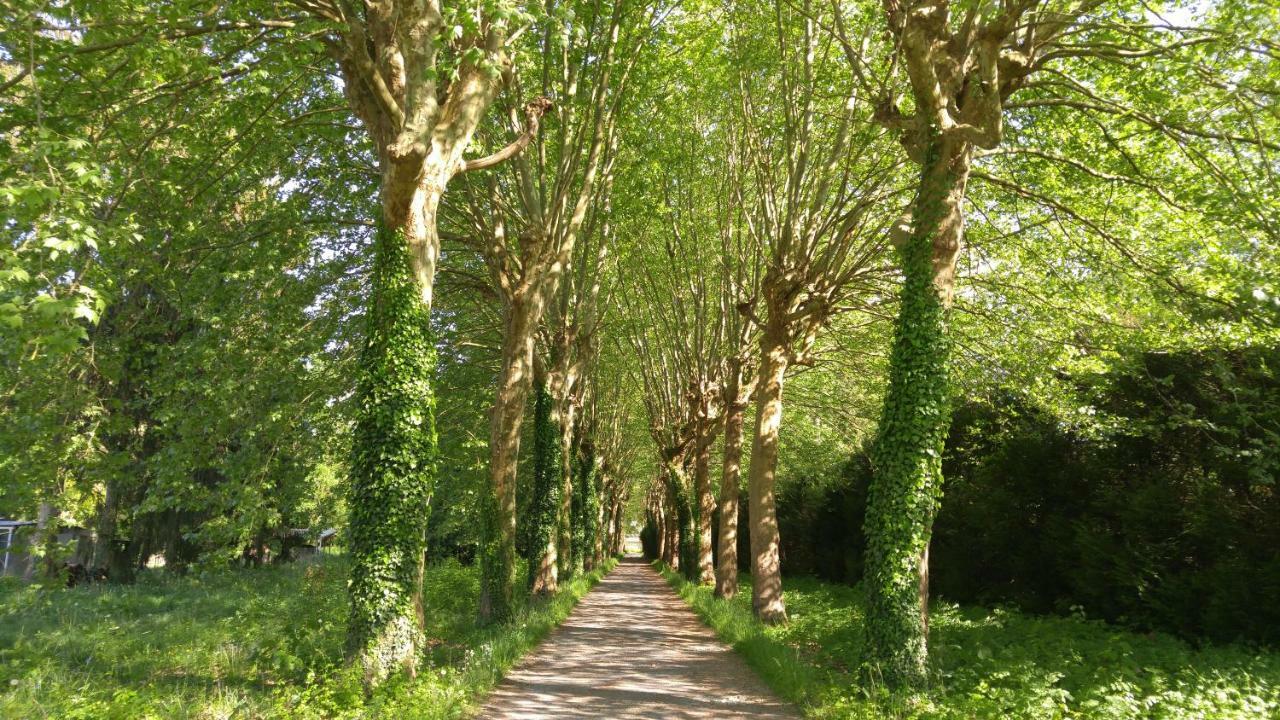 Domaine De Bramefaon Bed and Breakfast Barbizon Buitenkant foto
