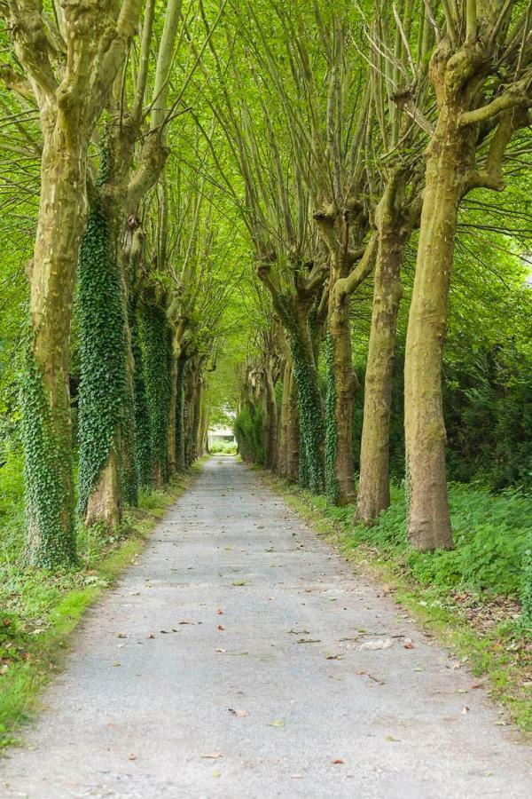 Domaine De Bramefaon Bed and Breakfast Barbizon Buitenkant foto